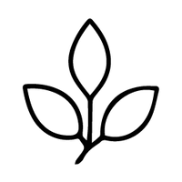 Hypoallergénique
