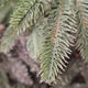 HOOMstyle Kerstboom Excellent Slim - smalle kunstkerstboom met verlichting (LED)